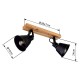 GLOBO SPOT LAMP GÜNTHER 15466S-2