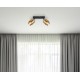 GLOBO SPOT LAMP MILLEY 15560-2
