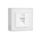 ATRA WHITE BOILER BOARD/SWITCH LABEO 4234