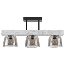 RABALUX CEILING LIGHT CARDAMOM 3119