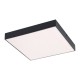 RABALUX LED ВЪНШЕН ПЛАФОН TARTU 7900