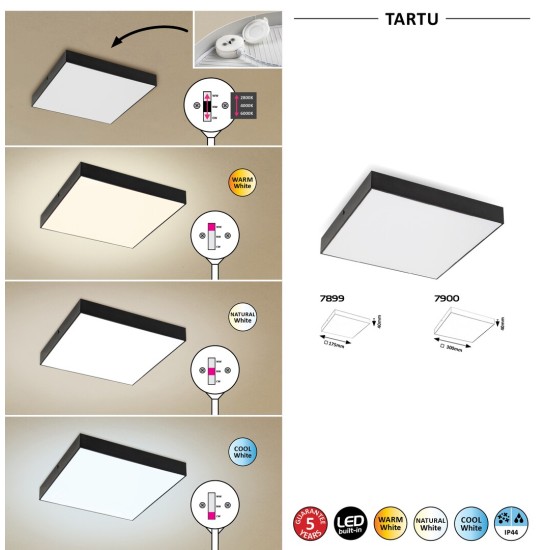 RABALUX LED ВЪНШЕН ПЛАФОН TARTU 7900