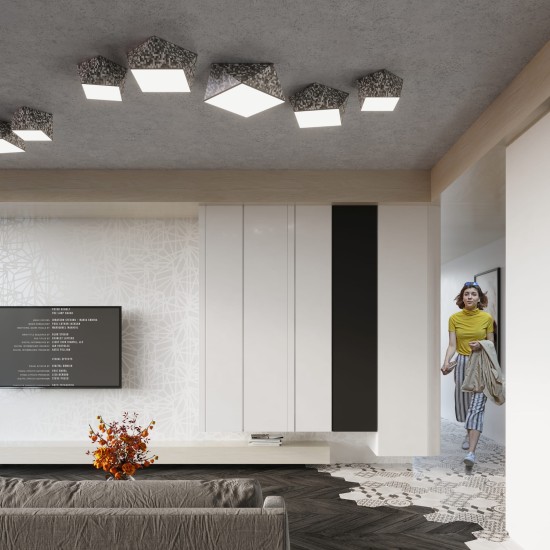 SOLLUX CEILING LIGHT HEXA 35 SILVER E27 2x60W IP20 SL.0691