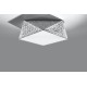 SOLLUX CEILING LIGHT HEXA 35 SILVER E27 2x60W IP20 SL.0691