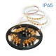 VIVALUX LED STRIP ORLO LED ∙ 4000K ∙ IP65 ∙ 5M