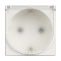 BTICINO CLASSIA SOCKET SCHUKO WITH COVER 16A WHITE RW4141C