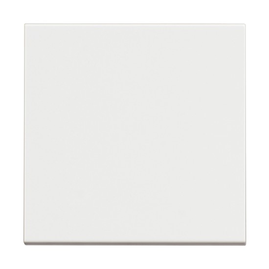 BTICINO CLASSIA SWITCH 1POLE 2WAY 2-MODE 10A WHITE MAT RW4003M2