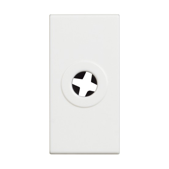 BTicino Classia EMPTY MODULE CABLE OUTPUT 1-MODE WHITE RW4953